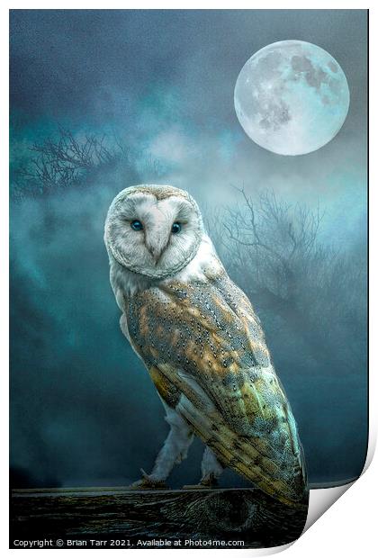 Barn Owl Moon Print by Brian Tarr