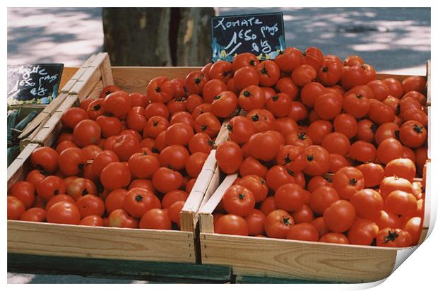 Tomatoes for Sale Print by Edward Denyer