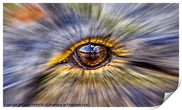 Into the eye Print by Robert Pettitt