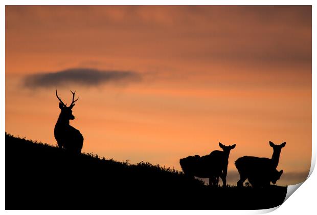 Strathglass Silhouettes Print by Macrae Images