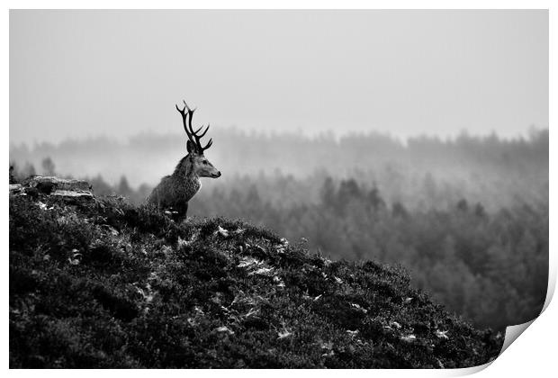 Above The Mist Print by Macrae Images