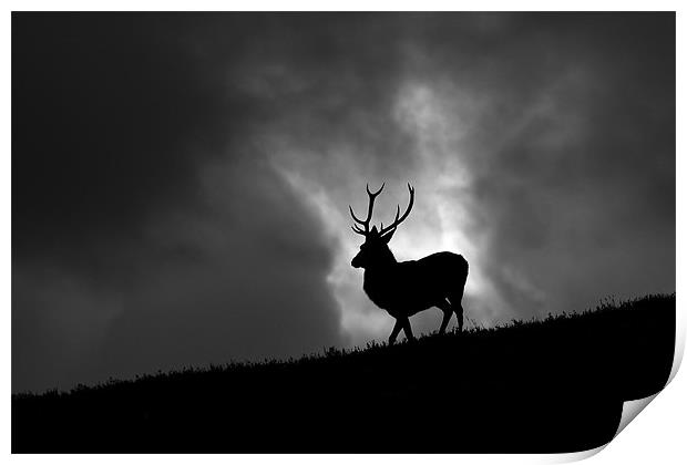 Black and white horizon Print by Macrae Images