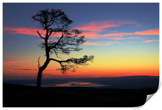 The Beauly Firth Print by Macrae Images
