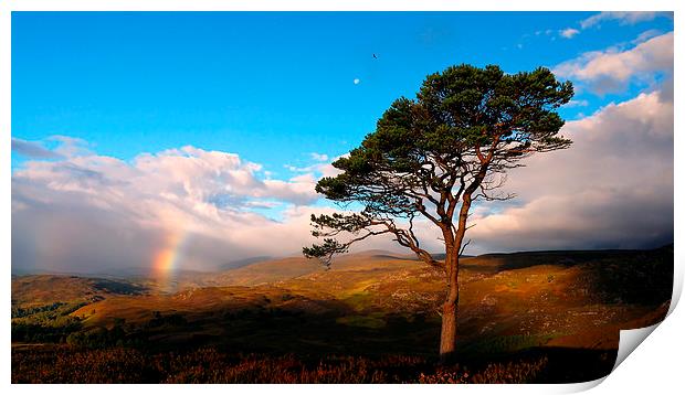 Caledonian colours Print by Macrae Images