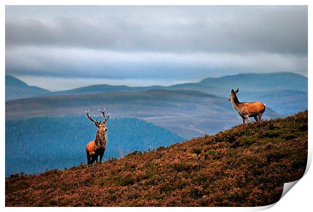 Above the Glens Print by Macrae Images