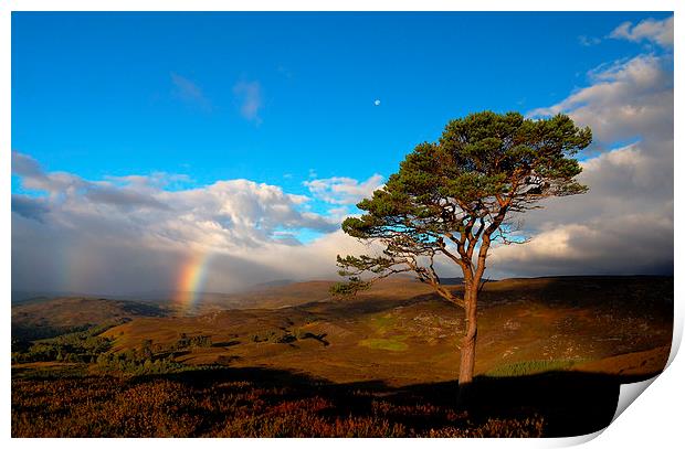 Caledonian colours Print by Macrae Images