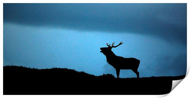 Roaring stag silhouette Print by Macrae Images