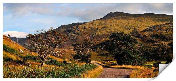   Glen Strathfarrar Print by Macrae Images