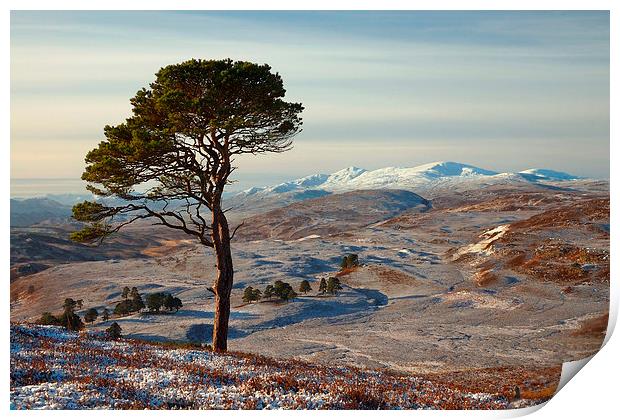  Winter in Strathglass Print by Macrae Images