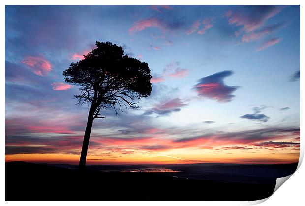  Beauly Firth Sunrise Print by Macrae Images
