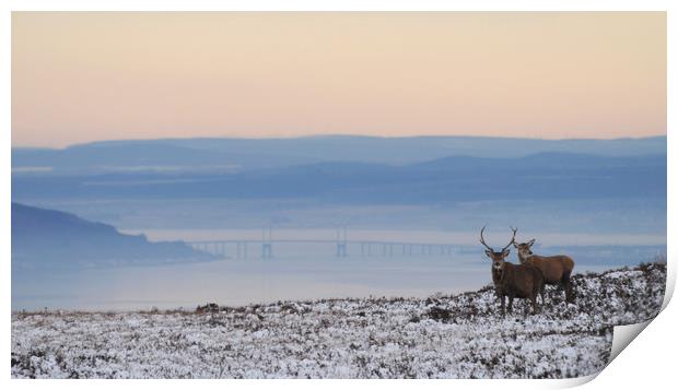 Dawn of a New Day Above the Beauly Firth Print by Macrae Images