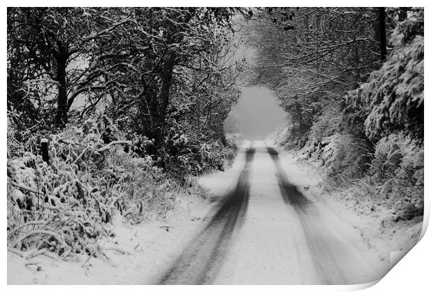 Winter Road Print by Macrae Images