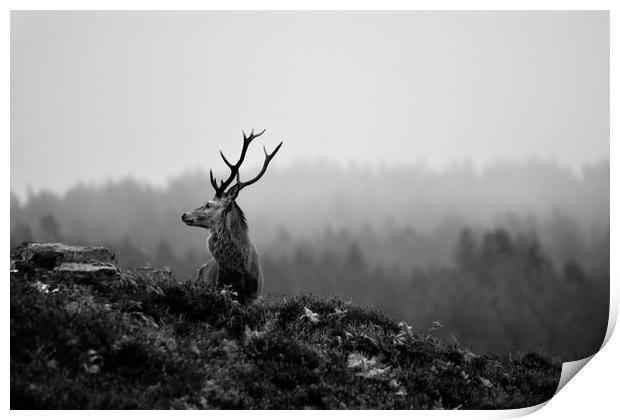 Above the Mist Print by Macrae Images