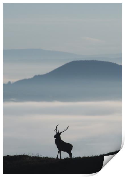 Foggy Silhouette  Print by Macrae Images