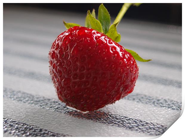 Red Strawberry Print by andrew hall