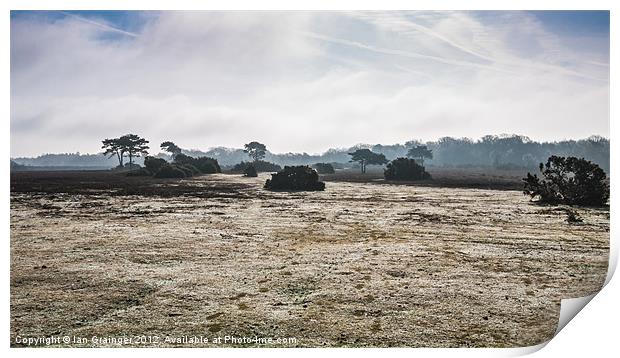 New Forest Panorama Print by Ian Grainger