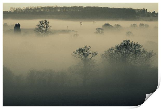 Fog Print by Rebecca Briggs