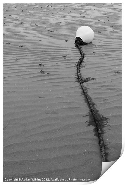 Beach Buoy Print by Adrian Wilkins