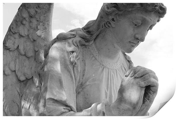Praying Angel Print by Adrian Wilkins
