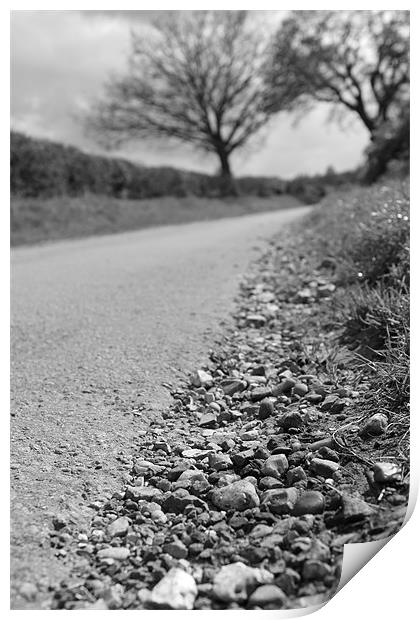 Country Lane Print by Adrian Wilkins