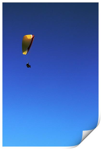 Alone In The Sky Print by Adrian Wilkins