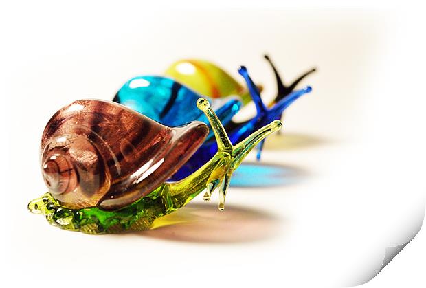 Glass Snails Print by Adrian Wilkins