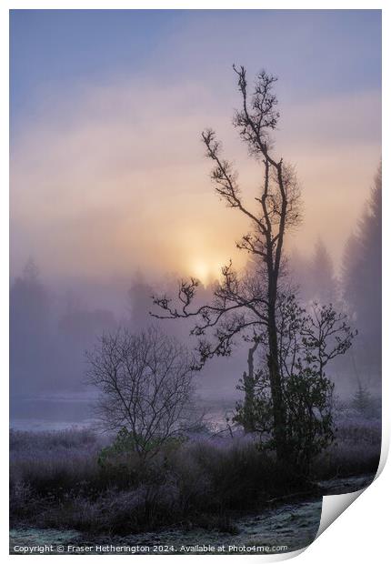 Misty Morning Print by Fraser Hetherington