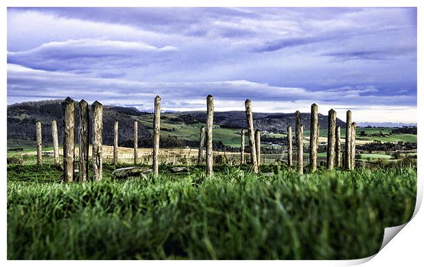 Woodhenge Print by Fraser Hetherington