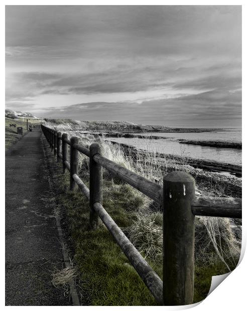 Seaside Path Print by Fraser Hetherington