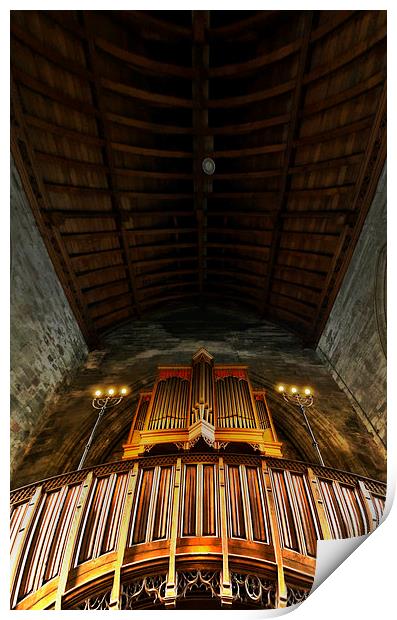 Pipe Organ Print by Fraser Hetherington