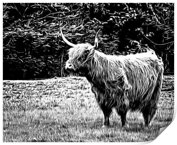 Highland Cow Carved Print by Fraser Hetherington