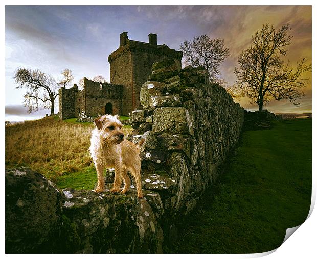 Staring out from History Print by Fraser Hetherington