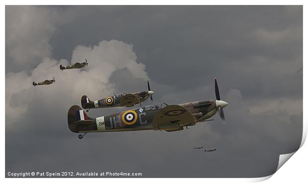 Spitfires - 'Buster' Print by Pat Speirs
