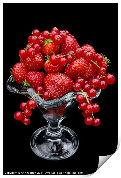 Summer Fruits Print by Ann Garrett