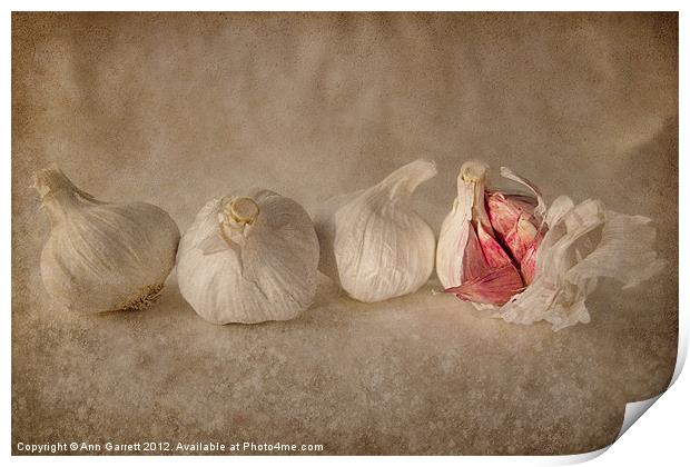 Garlic and Textures Print by Ann Garrett