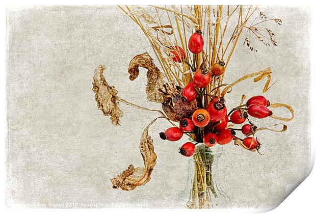 Rosehips and Grasses Print by Ann Garrett