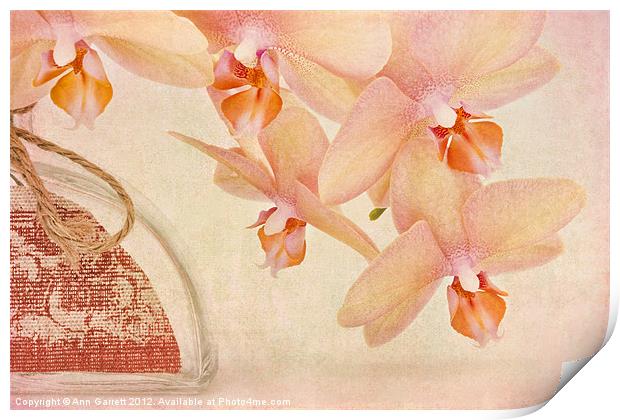 Orchid Falls Print by Ann Garrett