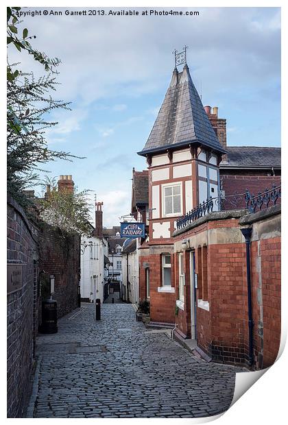 Castle Terrace Bridgnorth 2 Print by Ann Garrett