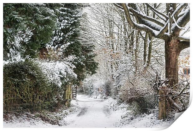 Path Through The Snow Print by Ann Garrett
