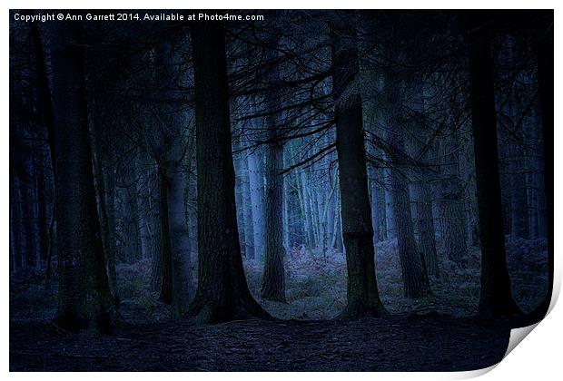 Forest Blues Print by Ann Garrett