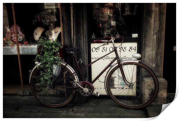 The Bicycle Print by Ann Garrett