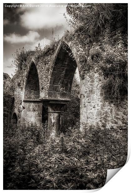 Ruined Arches Print by Ann Garrett