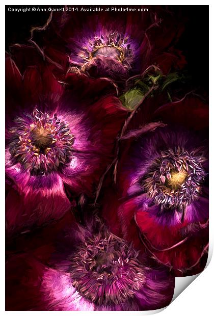 Red Anemones A Digital Painting Print by Ann Garrett