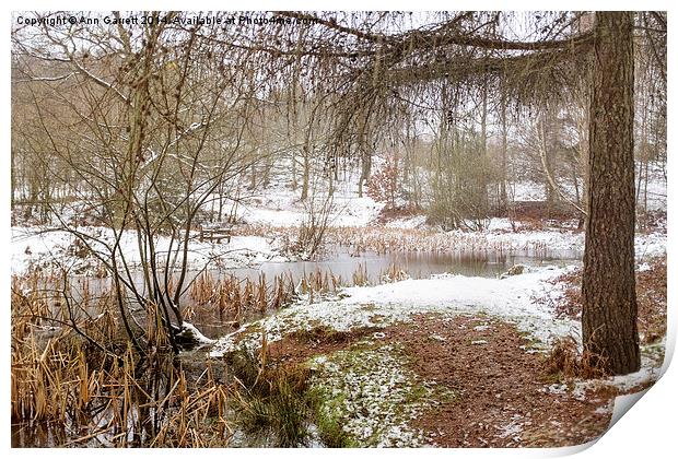 Small Lake in the Snow Print by Ann Garrett