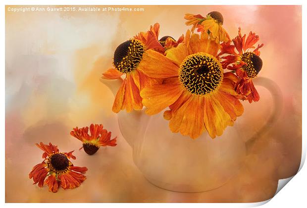 Heleniums in a Teapot Print by Ann Garrett