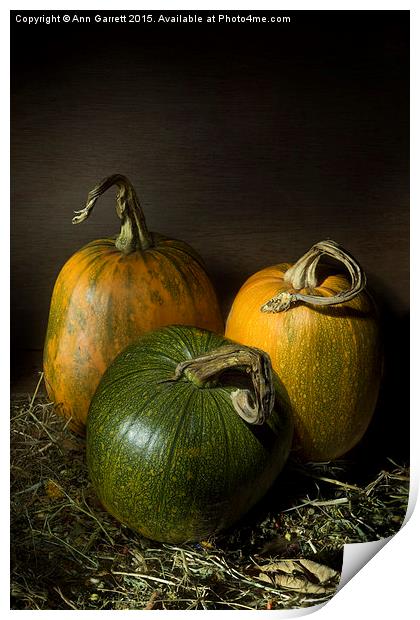 Three Pumpkins Print by Ann Garrett