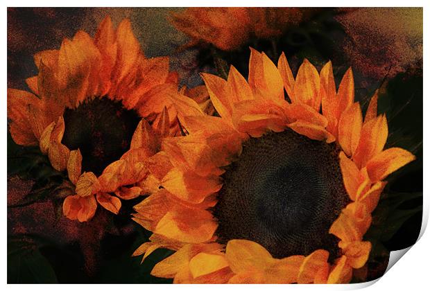 Sunflowers Print by Ann Garrett