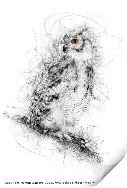 Owl Sketch Print by Ann Garrett