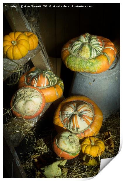 A Ladder of Pumpkins Print by Ann Garrett