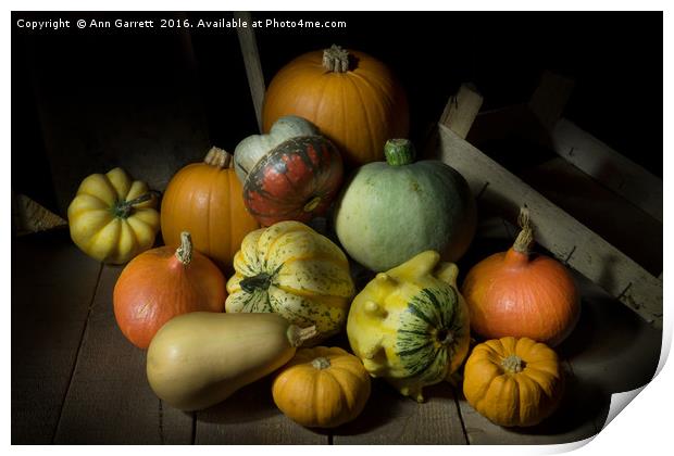 A Crate of Pumpkins Print by Ann Garrett